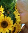 Tournesol
