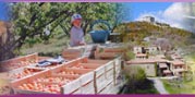Fruits de la Dr�me